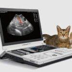 Veterinary Ultrasound Scanners