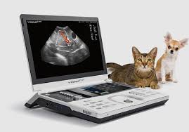 D5-Vet Portable Vet Ultrasound Scanner